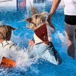 Freibadsaison 2025: Abbaden